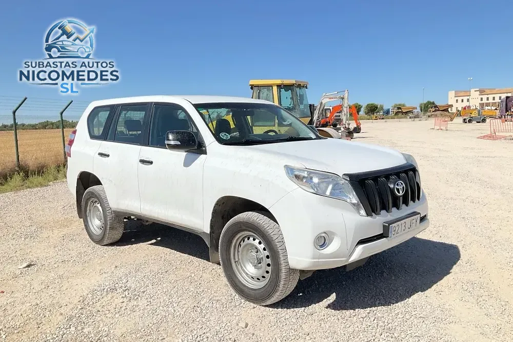 Toyota Land Cruiser 4WD, foto 7 de 14